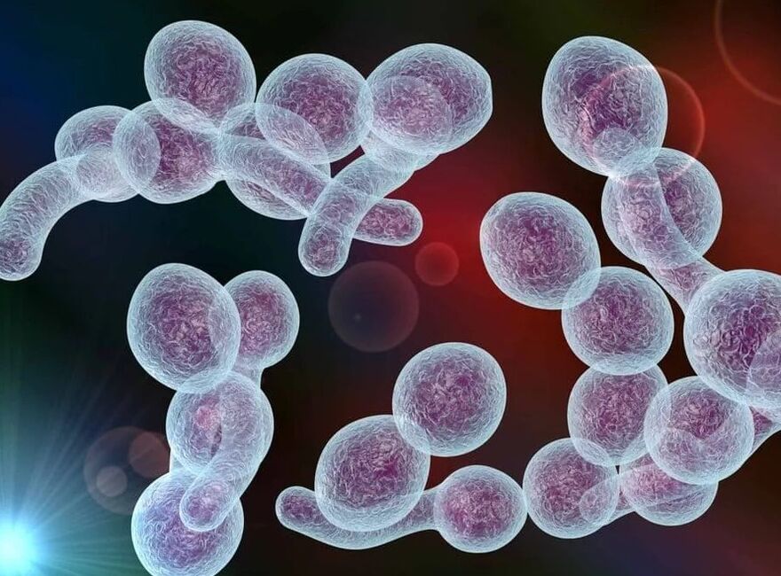 Bakterijski prostatitis